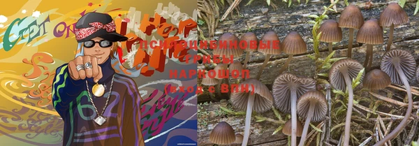 прущая мука Новодвинск