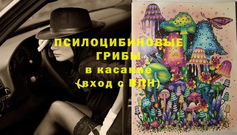 Псилоцибиновые грибы Magic Shrooms  MEGA вход  Нижнеудинск  купить  цена 