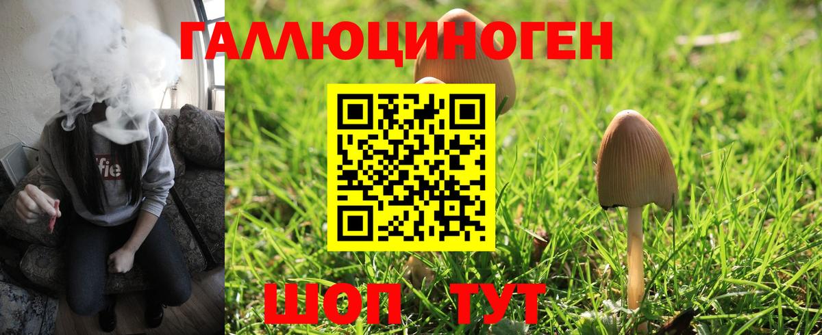 Галлюциногенные грибы Psilocybine cubensis Нижнеудинск