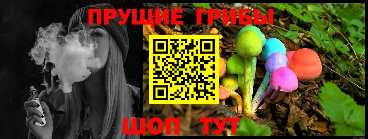 наркота  Псилоцибиновые грибы GOLDEN TEACHER  Вход с VPN  Нижнеудинск 